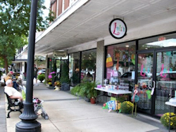 Unique Shops and Antique Stores