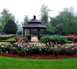 Thomasville Rose Garden